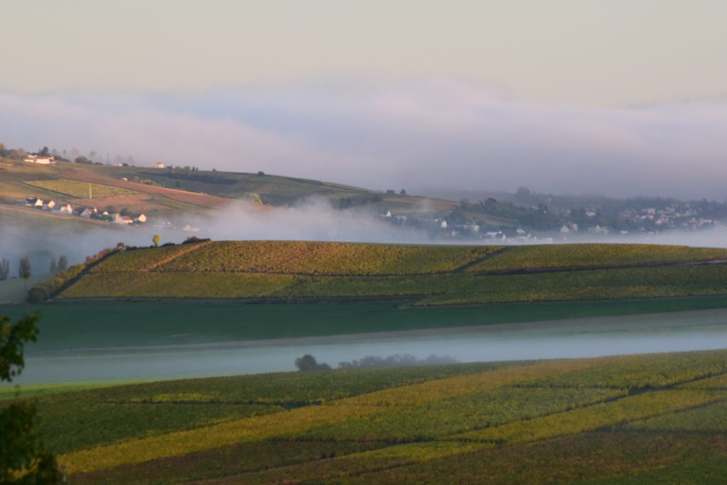 La brume s'élève D.Dumont