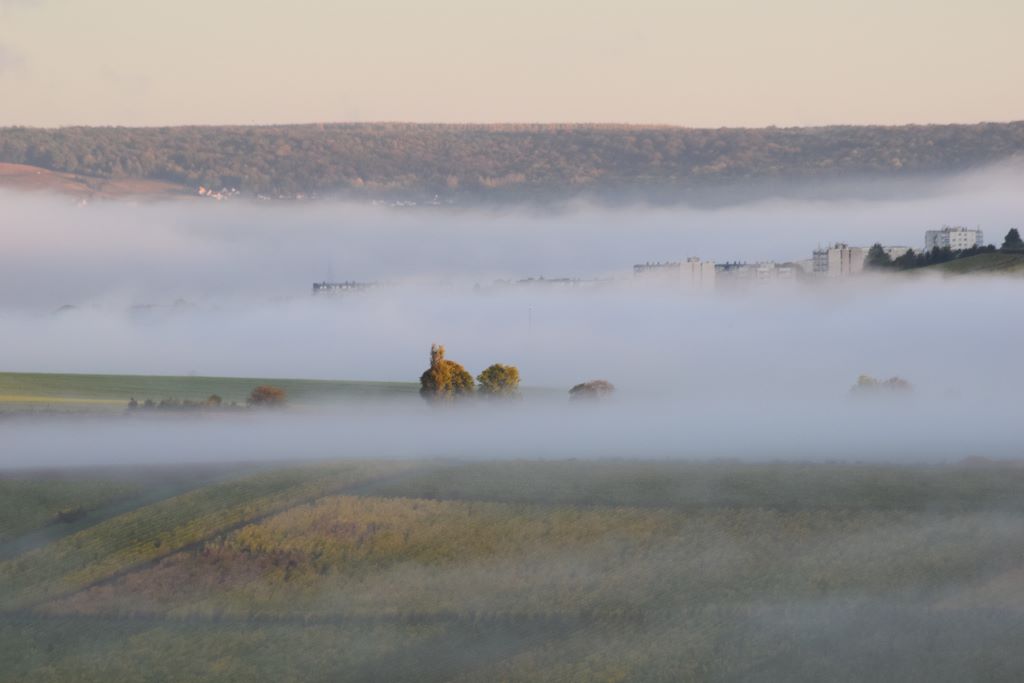 La brume s'élève (2)  D.Dumont