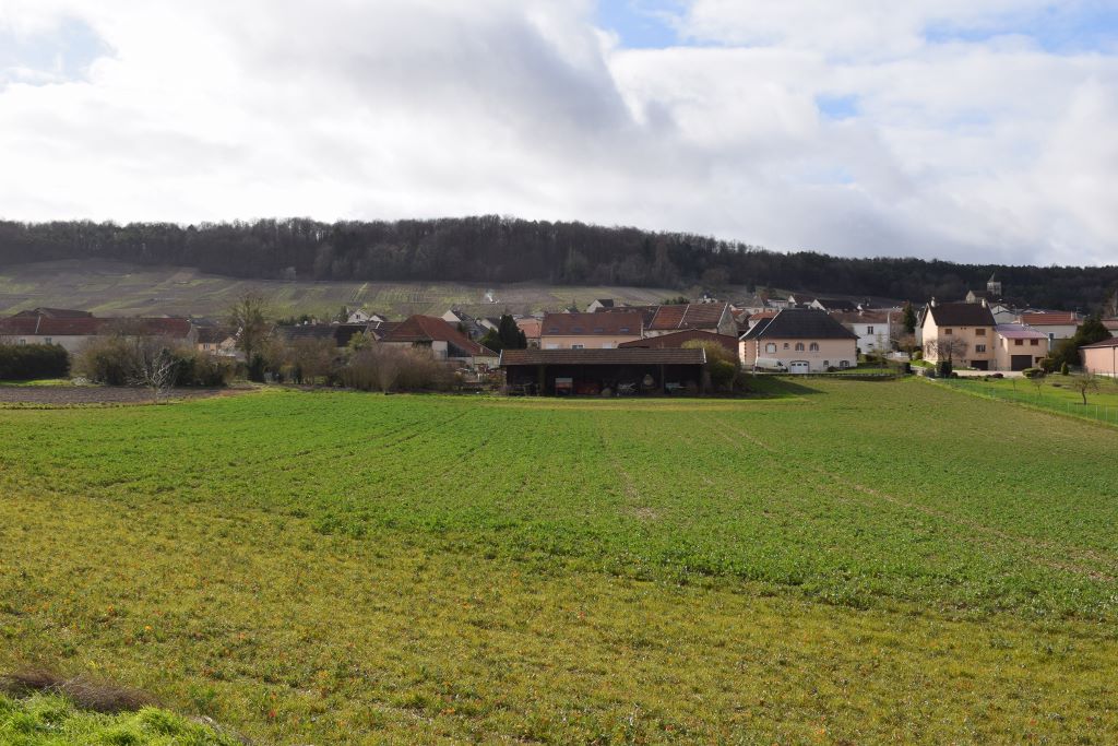 Cuis( vue des vignes)