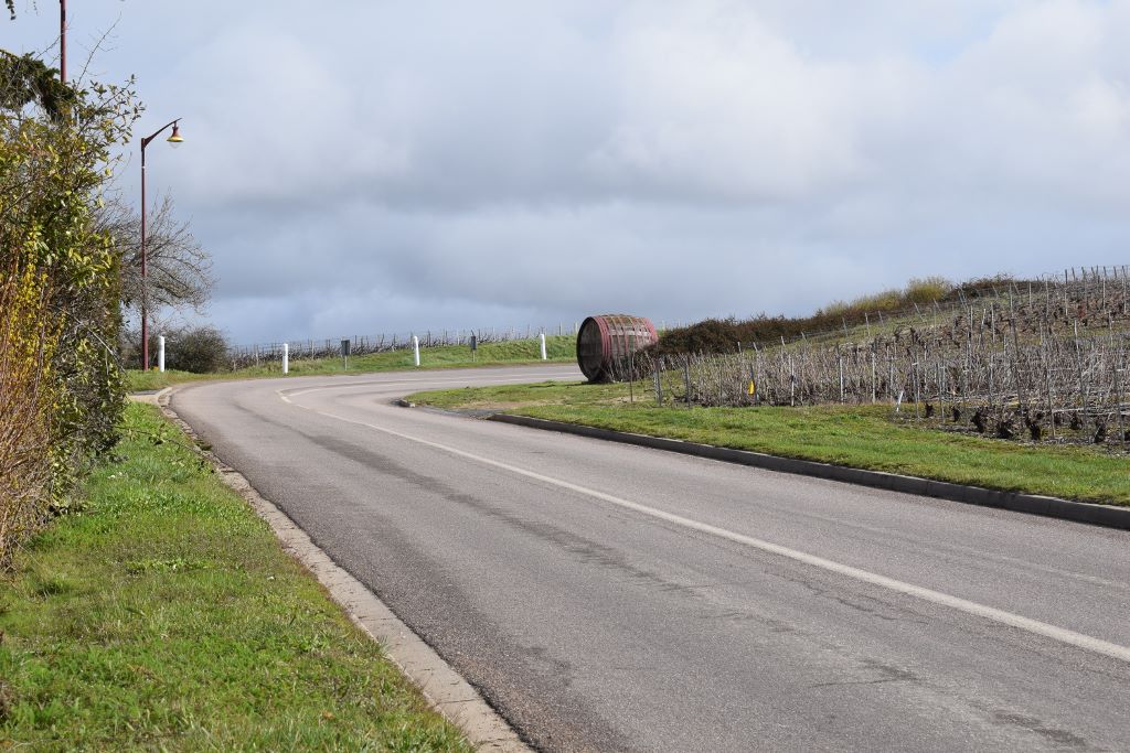 Route des vignes