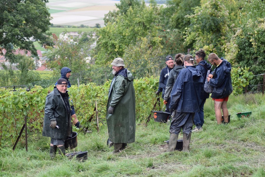 Vendanges 2021 22